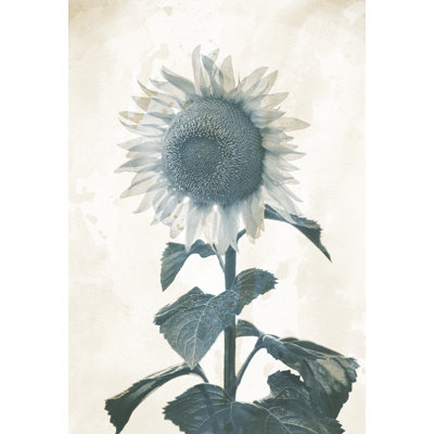 Sunflower Monochrome Distressed - Painting Print