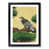 Black Framed selected