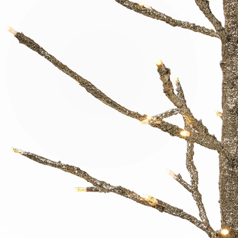 Arbres de noël