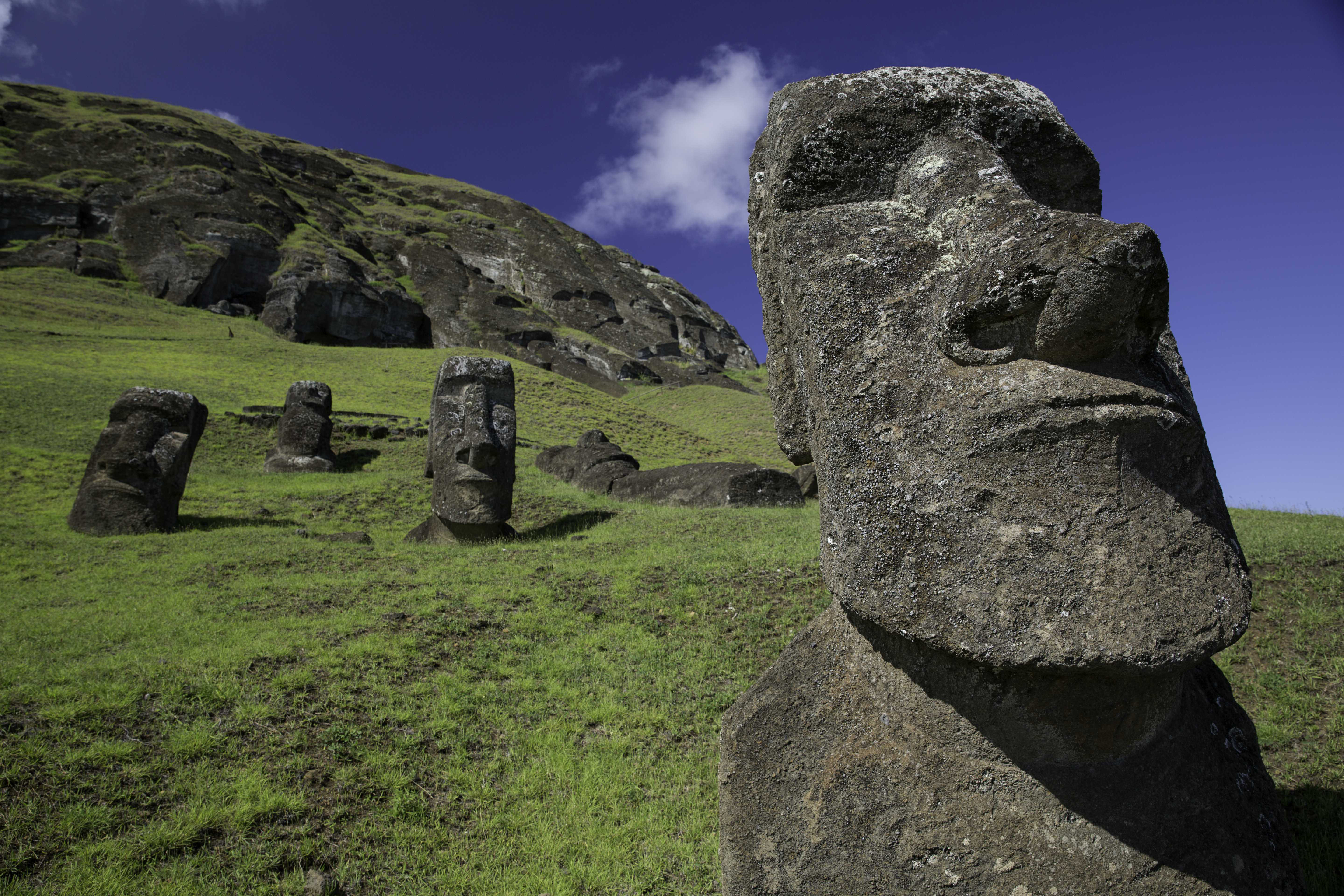 Moai Wall Art 