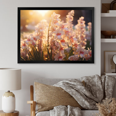 " White Orchids Field With Sunset "