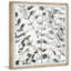 Eucalyptus Tree - Single Picture Frame Painting-1332778447