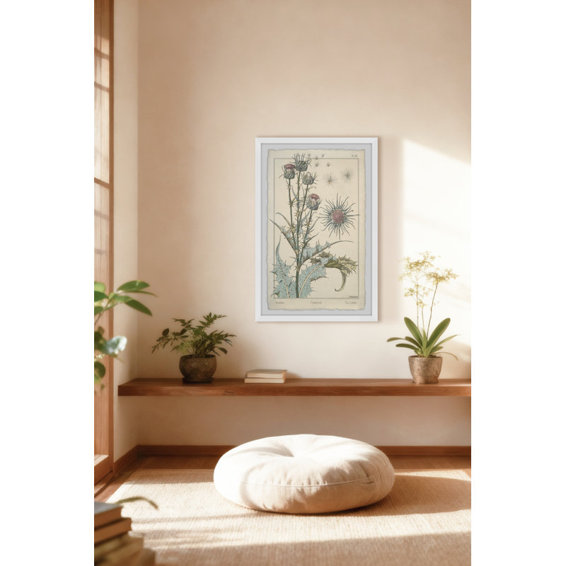 «Thistle Botanical Study 1896», reproduction encadrée, H 36 po x l 24 po