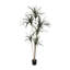 Arbre Dracaena artificiel-944929707
