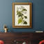 Toile encadrée de qualité supérieure Olive Greenery VI - prête à être accrochée-1407422566