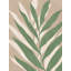 Soft Palm Leaves Print by Other Artist-672045387-672045436-672045385