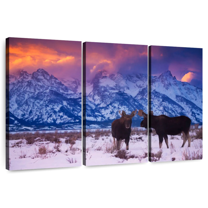 Brampt Moose Tandem, 42" H x 65" W