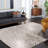 Adessa Shag Performance Chevron Rug-1885248801