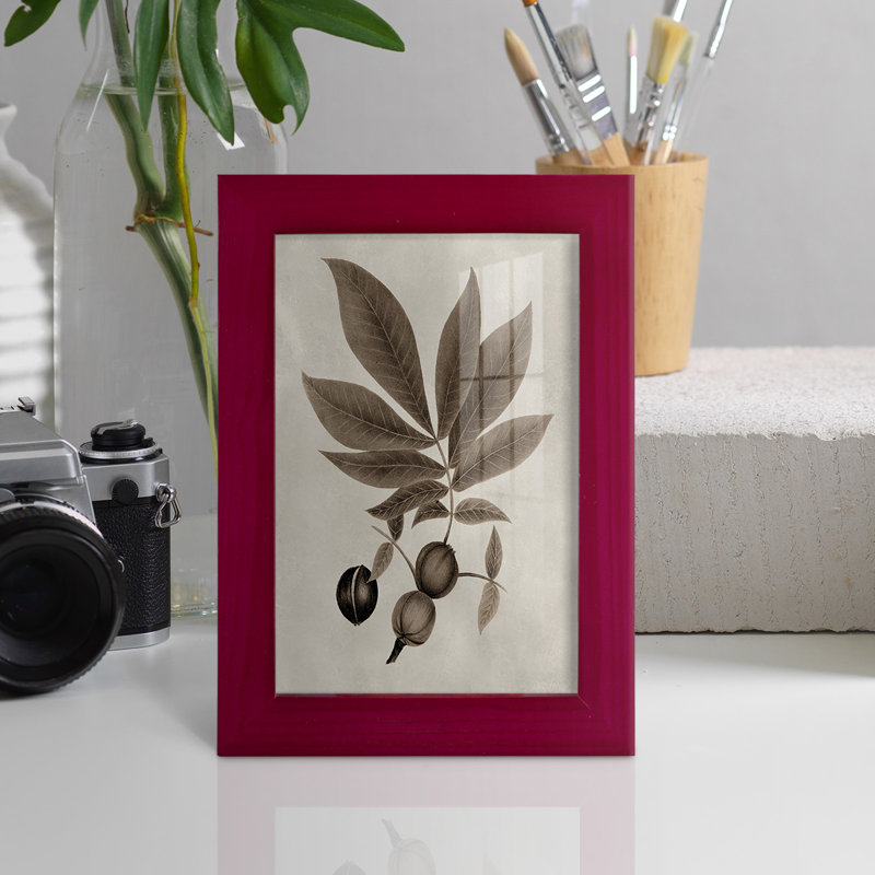 Arbor Speciment VI - Impression encadrée avec verre - bleu océan, Rouge, H 4 po x l 6 po x P 1 po