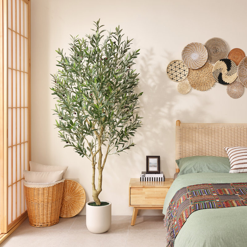 Olive artificielle Ashwell avec pot blanc , 84 po x 11 po