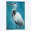 «Great Blue Heron II», reproduction sur toile-31840776-73208841-73208847