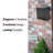 Chicago Metal Wall Mounted Mailbox-21167940-108988763
