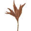 Dried Flower Bunch-119034007-119034006