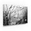 «B and W andentre», impression sur toile-32714520-32714529-32714526