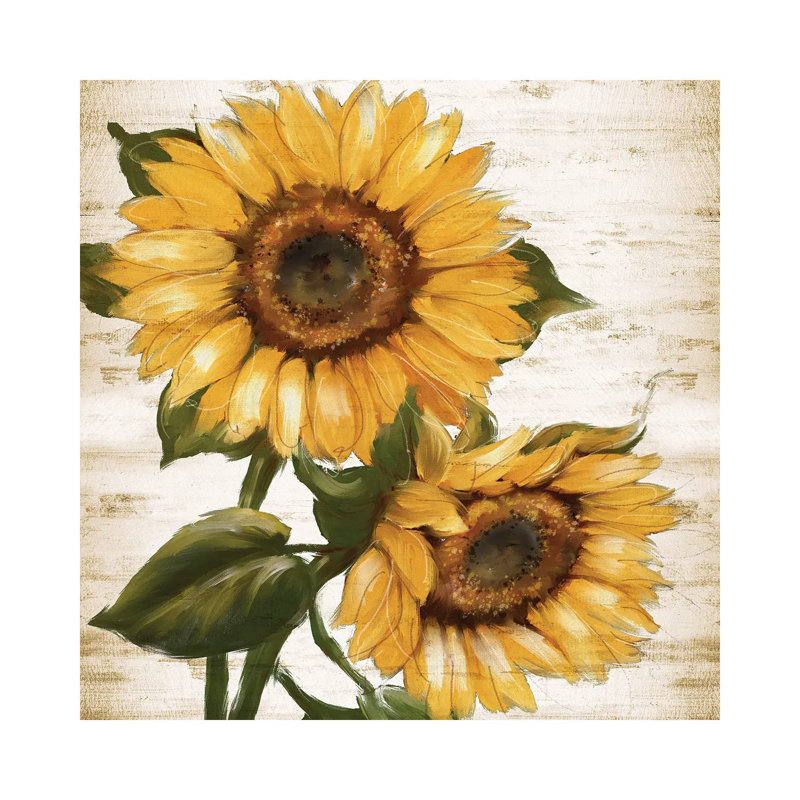 Sunflower Summer II by Conrad Knutsen - Wrapped Canvas Gallery-Wrapped Canvas Giclée, 30.48 cm H x 30.48 cm W