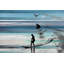« wave jump » par parvez taj,, reproduction d’art sur toile tendue-15990120
