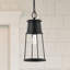 Luminaire suspendu d'extérieur noir 1 lumière H 17,5 po Shizu