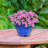 Caydin Round Ceramic Outdoor Planter - Blue - 13.5"-1460263607-1388144725