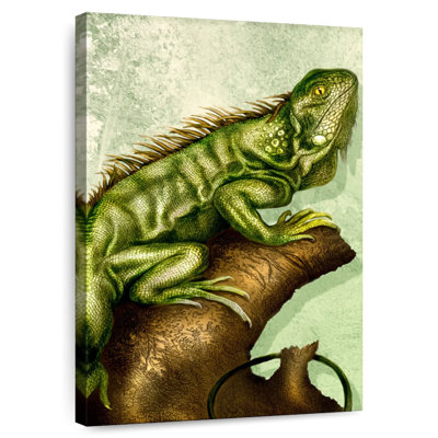 Iguane Brampt
