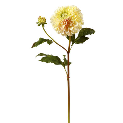 SHORT DAHLIA STEM