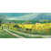 Canola Fields by Jo Grundy - Wrapped Canvas Canvas