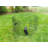 Lucky Dog Exercise Pens-11941706