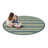 Just for Kids Yipes Stripes Area Rug-1426455580