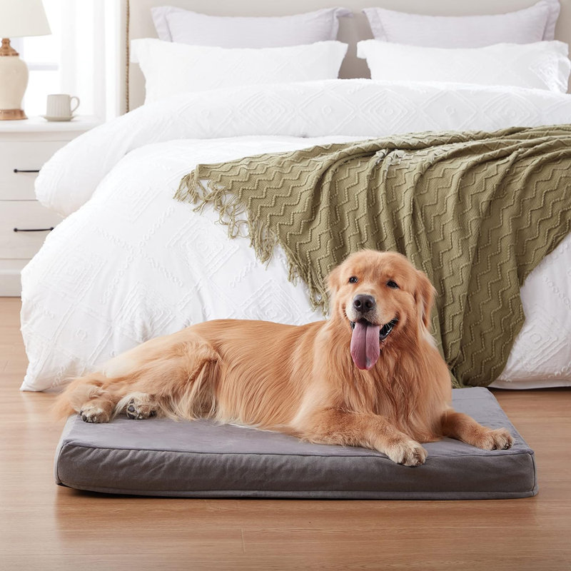 Lit orthopédique pour chien avec mousse à mémoire de forme, Gris, Grand (H 3 po x l 35 po x P 22 po)