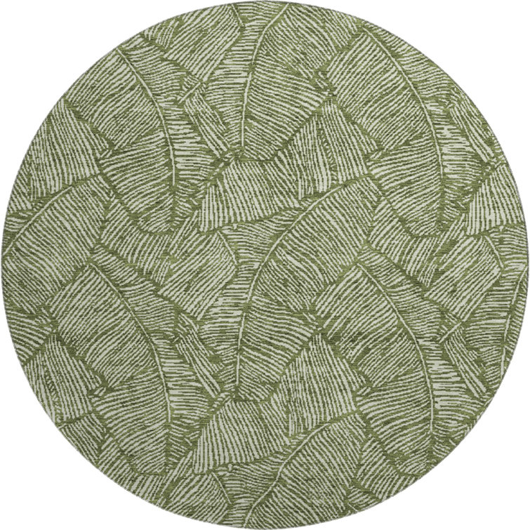 Premium Machine Washable Prisco Olive Rug