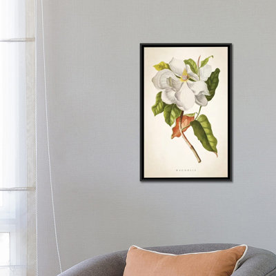 « magnolia botanique print i », impression sur toile