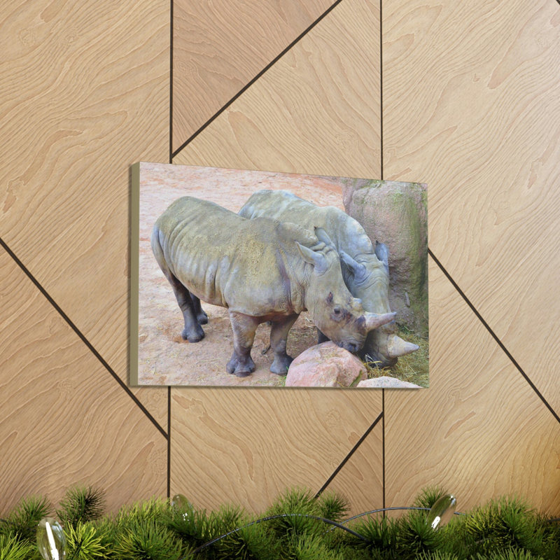 Rhino Couple Rhino Couple, reproduction d'art mural