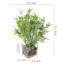 2 - Piece Artificial Plant Set