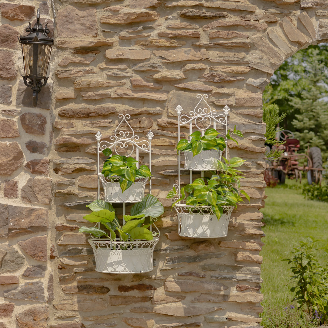 Goulds Iron Wall Planter (Set of 2) Fleur De Lis Living 