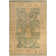 Ajanai Hand Knotted Wool Beige/Brown/Green Rug