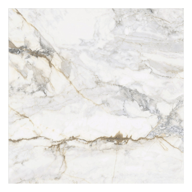 Calacatta Macchia 48x48 Marble Look Matte Porcelai 47.24 in. x 47.24 in. Porcelain Tile