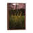 Classic Brown Wood Framed