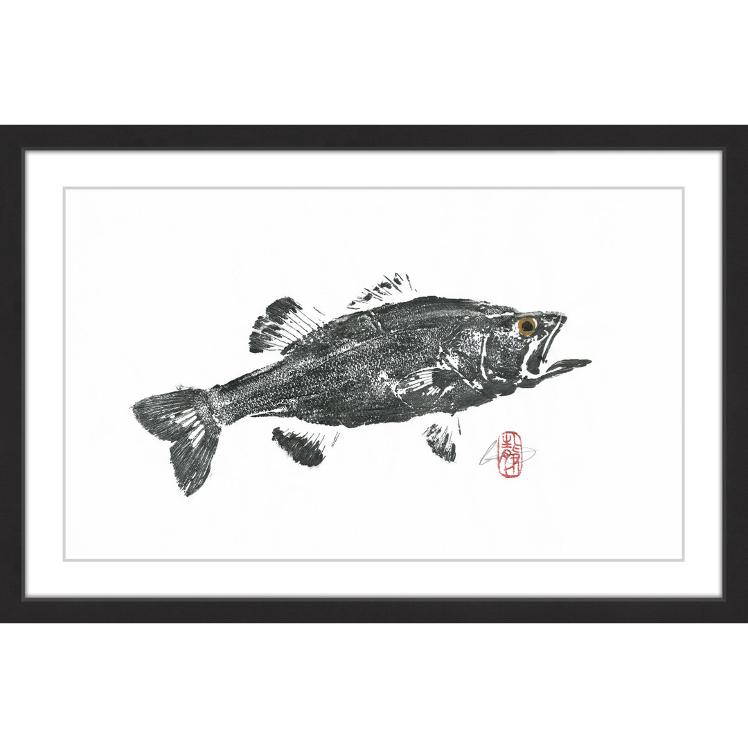 " Large Mouth Bass " by Andrew Clay Marmont Hill