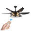 Ventilateur de plafond industriel noir 52 po avec lumière et télécommande - Conception de cage moderne, moteur CC silencieux à 6 pales pour le salon et la chambre à coucher