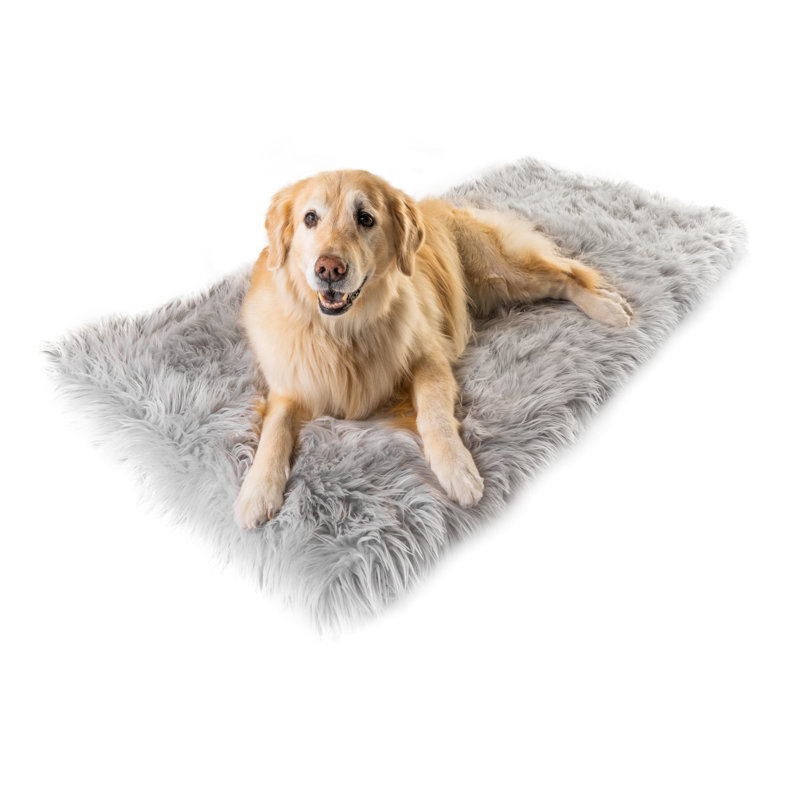  Tapis pour chien Puprug Runner, gris, H 2 po x l 40 po x P 30 po