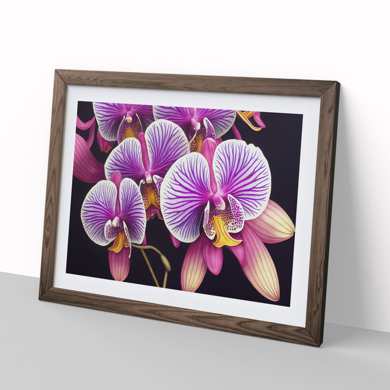 Adventurous Orchid Flowers - Single Picture Frame Print, Walnut Framed, 25cm H x 34cm W x 2cm D