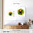 Crowle Cartoon Toucan-109398862