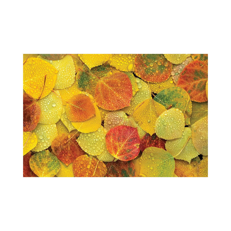 Fallen Autumn Colored Aspen Leaves On The Ground Covered In Dew Droplets by Tim Fitzharris - Wrapped Canvas Print