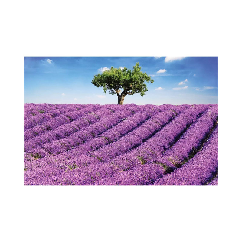 Lavender Field and Tree, Provence 1 Piece Wrapped Canvas Wall Art, 66.04 cm H x 45.72 cm W x 3.175 cm D