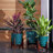 Ebern Modern Resin Pot Planter with Wooden Stand-1843114442-1839056885