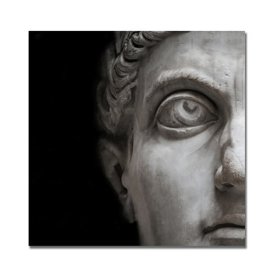Statue Of David Print
