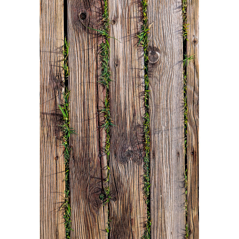 Tapis en polyester tissé à la machine en brun / vert, Rectangle 3 pi 11 po x 5 pi 11 po