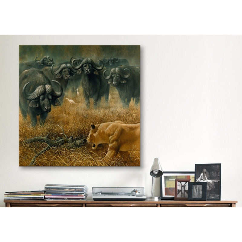 «Lioness and Cape Buffalos» par Harro Maass, reproduction d'art sur toile, H 12 po x l 12 po x P 1,5 po