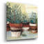  «Pots Herbs II Stripes Crop» par Carol Rowan, art mural en verre acrylique, 36 po x 36 po-1320898731