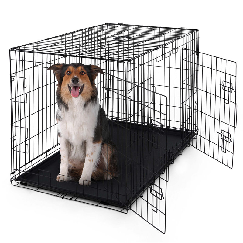 Cage pour chien CAPHAUS Tucker Murphy Pet ™, chenil métallique pour chien avec plateau étanche