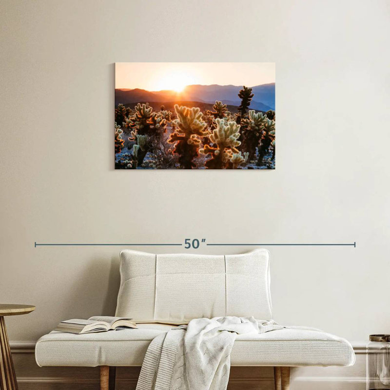 Jardin de cactus Harnek, H 20 po x l 30 po